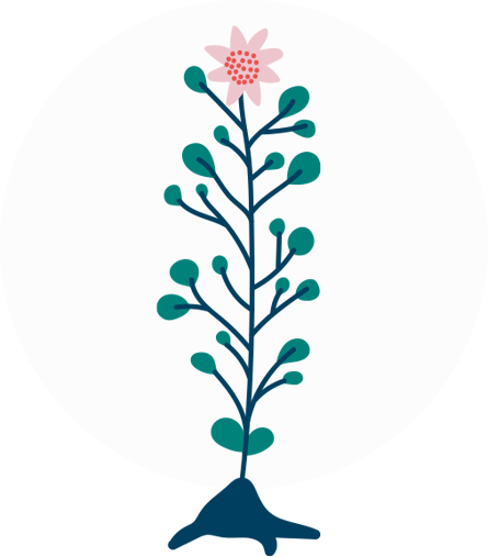 plant_icon_0